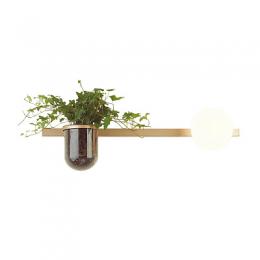 Изображение продукта Настенный светильник Odeon Light Flower 
